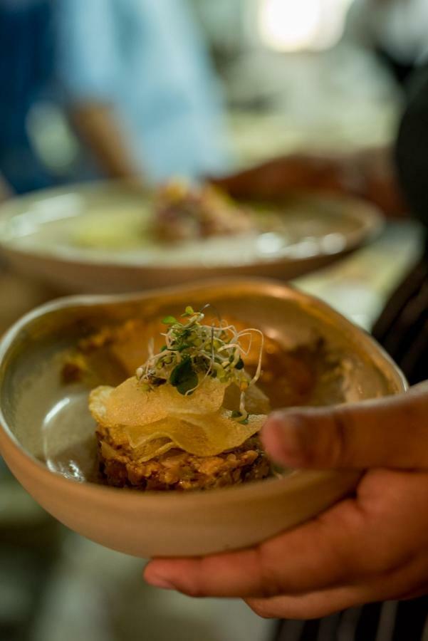 Spring Creek Lodge Junín de los Andes 외부 사진